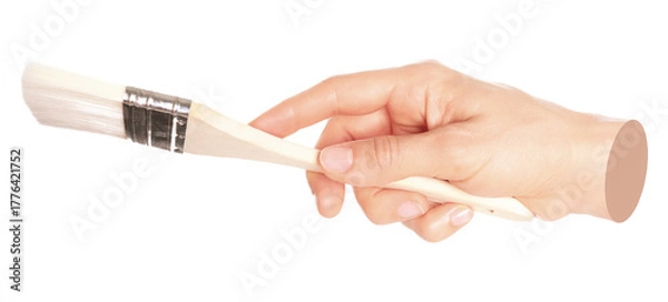 Fototapeta Woman hand holds paint brush, isolated on transparent background, painting and design concept. Contemporary art