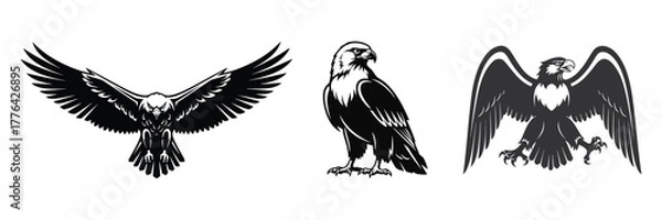 Obraz Eagle bird mascot flying and standing vector illustration set
