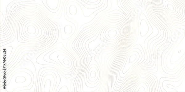 Fototapeta Abstract design with black and white abstract papercut and multi-layer cutout geometric pattern on vector Topographic canyon geometric map relief texture with curved layers beautiful design.	