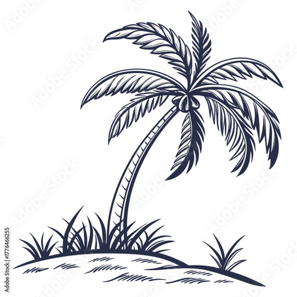 Fototapeta Illustration of a palm tree with grass on a small hillock