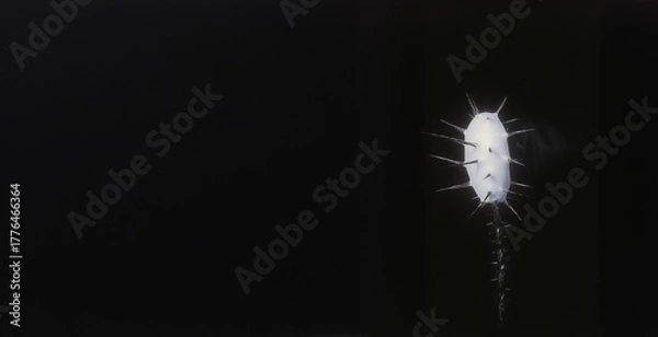 Obraz Minimalist and Abstract Image of a White, Spiked Object or Organism Against a Solid Dark Background.