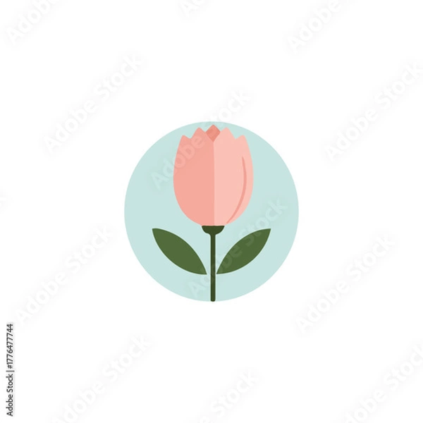 Fototapeta A stylized, flat illustration of a pink tulip with green leaves, centered within a light blue circle on a white background.