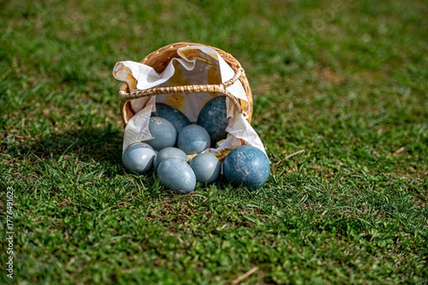 Fototapeta Colorful Easter eggs in a woven basket on green grass during a sunny day