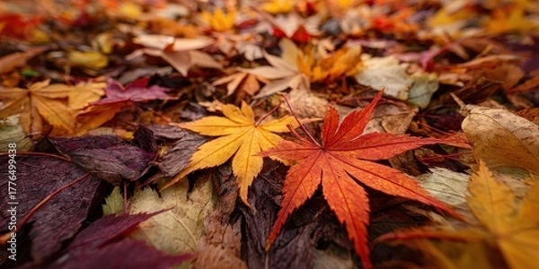 Obraz Tropical Harmony Abstract Painting with Warm Tones