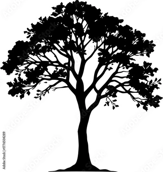 Obraz Tree line silhouette design for forest and nature landscape art