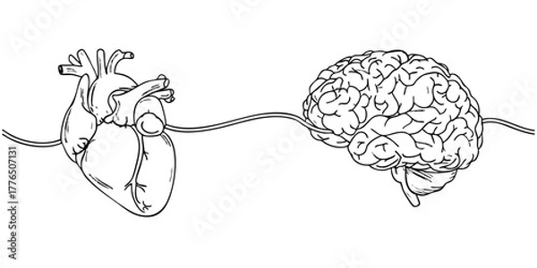 Fototapeta Human heart and brain connected by a line, symbolizing the intricate connection between emotions and intellect, mind and body harmony.