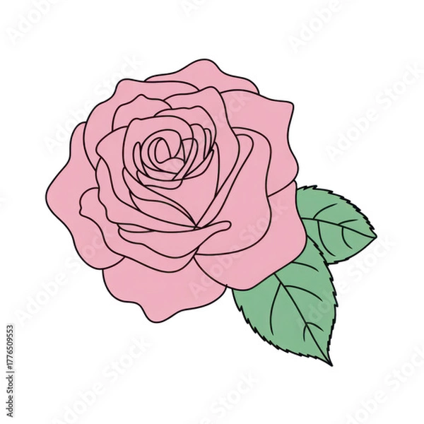 Obraz Simple pink rose illustration isolated on transparent background
