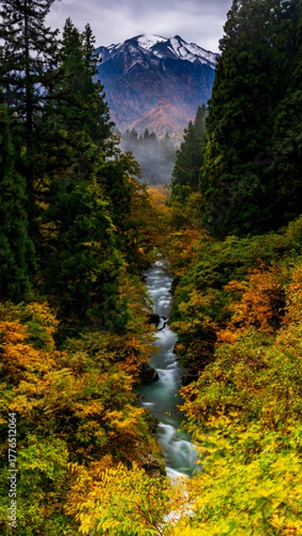 Fototapeta 紅葉の間を流れる渓流と冠雪した越後駒ヶ岳　秋の魚沼　絶景