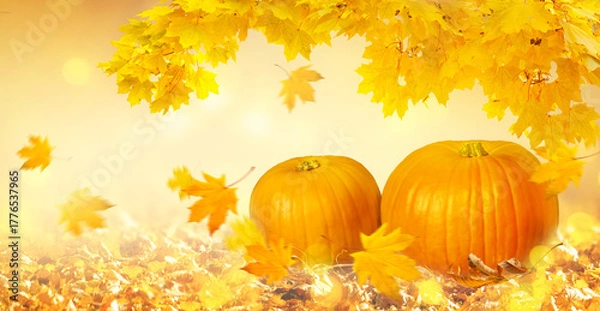 Fototapeta Thanksgiving day card with pile of pumpkins on patch and fall autumnal maple tree foliage on background with bokeh, autumn festive banner with falling leaves flying on wind.