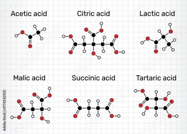 Fototapeta Сommon food acids molecules. Acetic acid (E260), lactic acid (E270), citric acid (E330), malic acid (E296), succinic acid (E363), tartaric acid (E334). Sheet of paper in a cage. Vector illustration