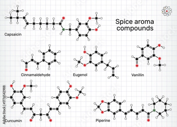 Fototapeta Spice aroma compounds molecule. Chemical structures of vanillin, cinnamaldehyde, eugenol, curcumin, piperine and capsaicin. Sheet of paper in a cage. Vector Illustration
