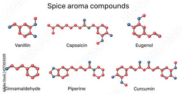 Fototapeta Spice aroma compounds molecule. Chemical structures of vanillin, cinnamaldehyde, eugenol, curcumin, piperine and capsaicin. Molecular model. Vector Illustration