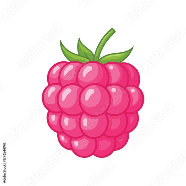 Obraz  pink raspberry fruit