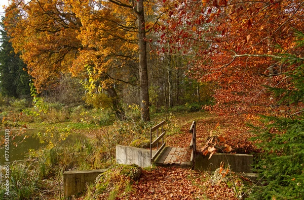 Obraz A small footbridge leads to the path with its autumnal colors.