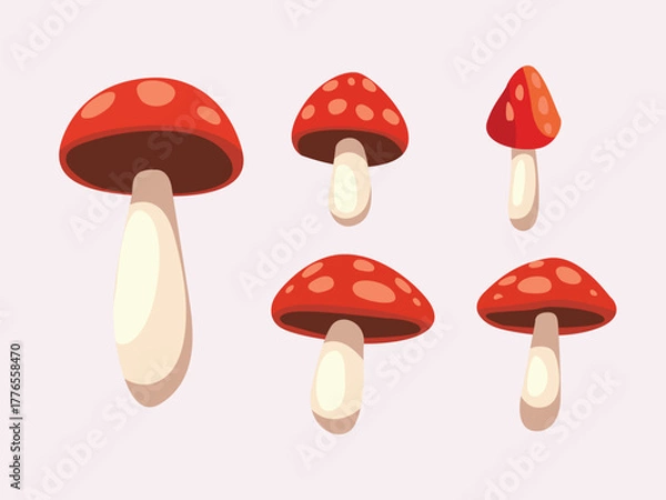 Fototapeta Mushrooms set vector illustration on solid background