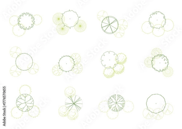Obraz architecture drawing plant tree top view plan greenery vegetation vector. design nature architectural landscape set element illustration bush garden flora sapling minimal. architect isolated.