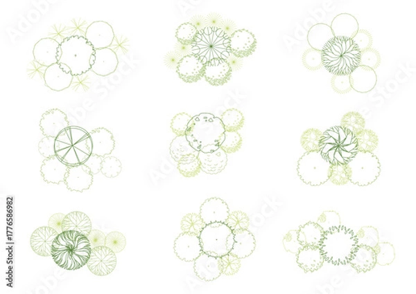 Obraz architecture drawing plant tree top view plan greenery vegetation vector. design nature architectural landscape set element illustration bush garden flora sapling minimal. architect isolated.