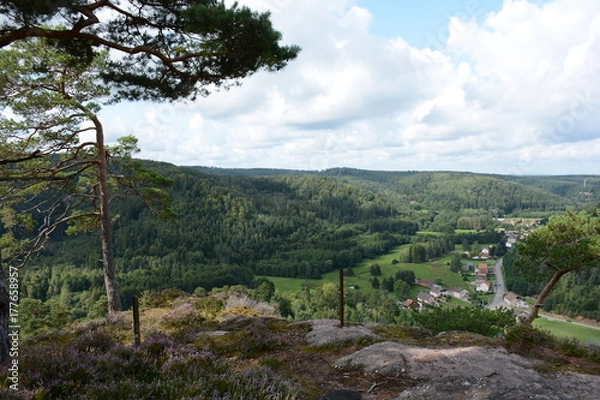 Obraz Vue sur Abreshviller