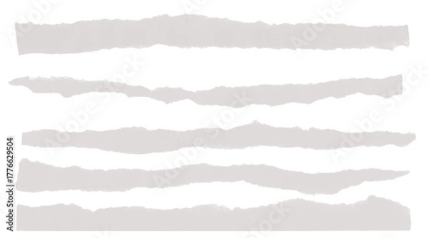 Obraz Five grey ripped paper strips, jagged edges, versatile design element.