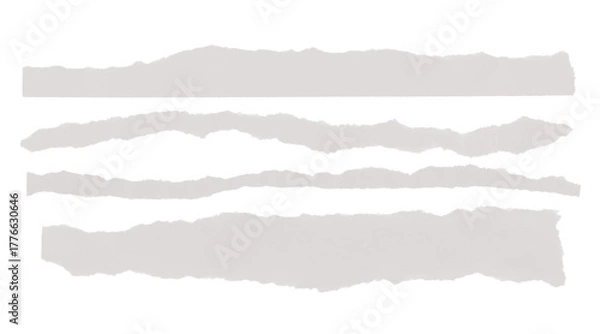 Fototapeta Collection of light gray torn paper elements with rough, jagged edges.