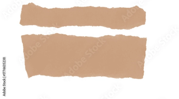 Obraz Torn brown paper pieces with rough edges, isolated. blank texture.