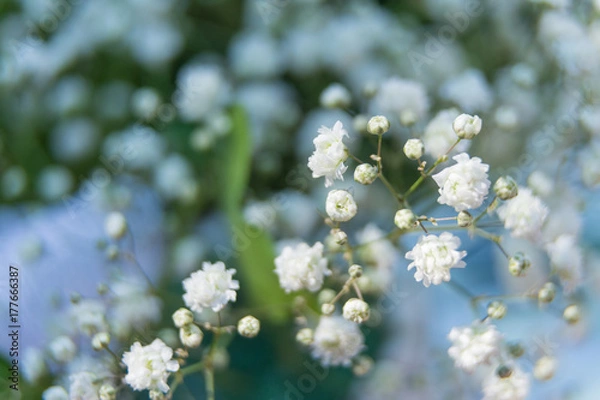 Fototapeta wedding flowers