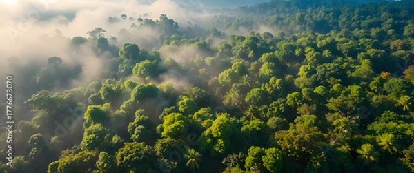 Fototapeta Panoramic view of summer morning mist and fog over green mountain forest landscape with blue sky and clouds