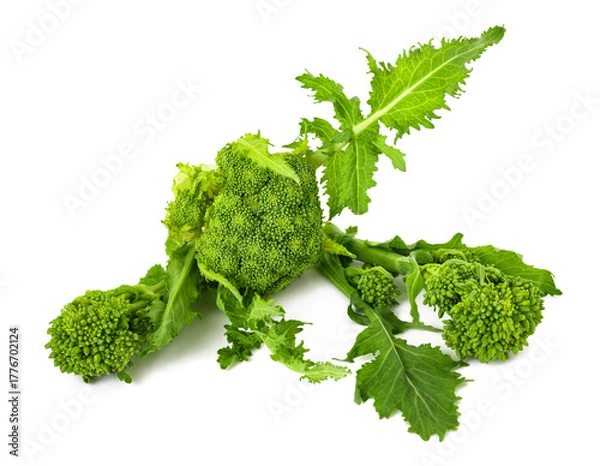 Fototapeta Fresh turnip tops