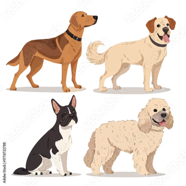Fototapeta Different Dog Breeds Illustration – Collection of Cute Domestic Pets in Various Poses
