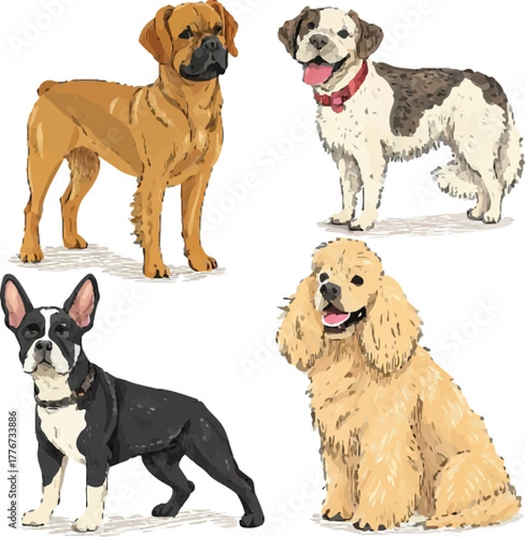 Fototapeta Set of Different Dog Breeds – Realistic Pet Animal Vector Illustration