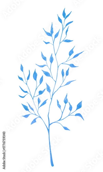 Fototapeta Blue watercolor branch with delicate leaves isolated on white background. Minimal botanical design perfect for modern decor, packaging, invitations, and elegant natural projects.
