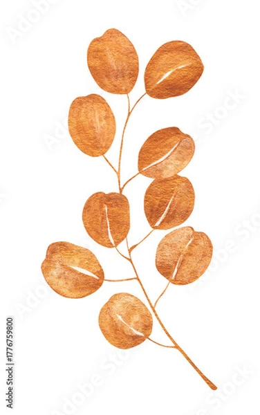 Obraz Watercolor branch with round copper orange leaves on white background. Warm autumn botanical illustration ideal for prints, packaging, and seasonal natural decor.