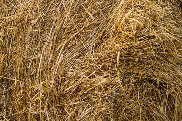 Fototapeta Hay Background