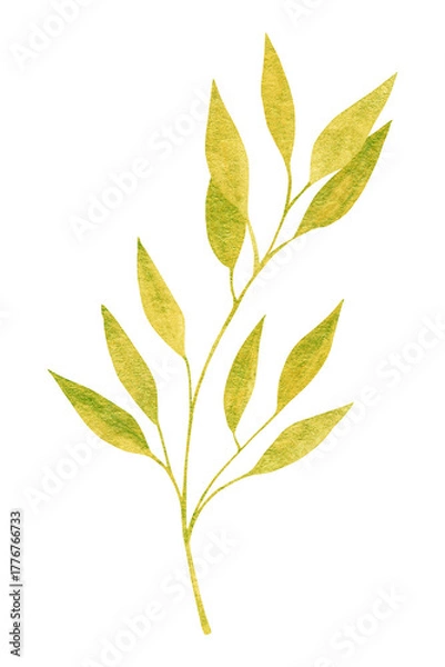 Fototapeta Elegant watercolor branch in golden yellow and green tones on white background. Minimal botanical illustration for modern decor, packaging, invitations, or natural design projects.