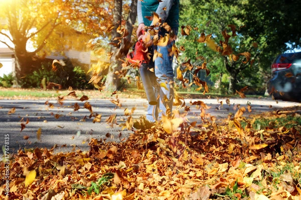 Fototapeta Man working with  leaf blower: the leaves are being swirled up and down on a sunny day