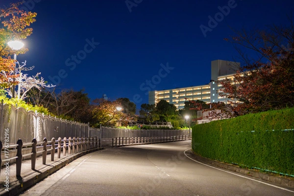 Fototapeta ブルーモーメントに浮かぶ歩道と街路灯のライン