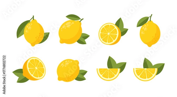 Fototapeta Collection of fresh lemon with leaves in flat style on white background