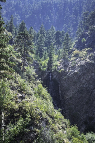 Obraz Mountain forest and waterfall