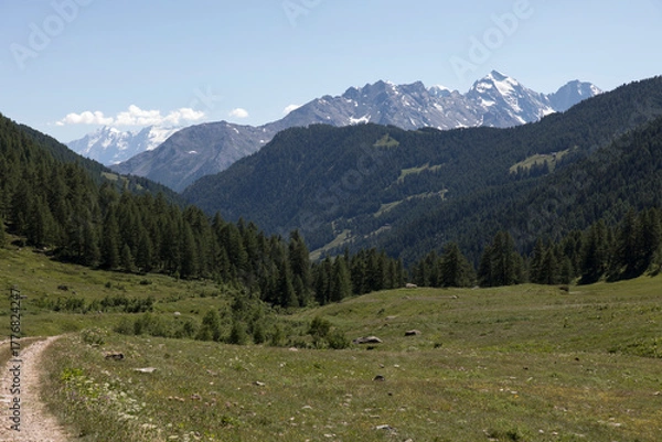 Fototapeta A trail view in Jovencan with nice mountain landscape