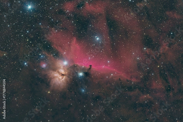 Obraz オリオン座の馬頭星雲