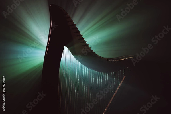 Fototapeta Electro harp in the rays of light