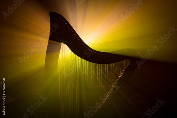 Fototapeta Electro harp in the rays of light