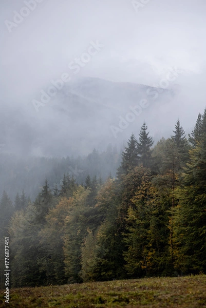 Obraz Autumn mountains with forest in fog and clouds