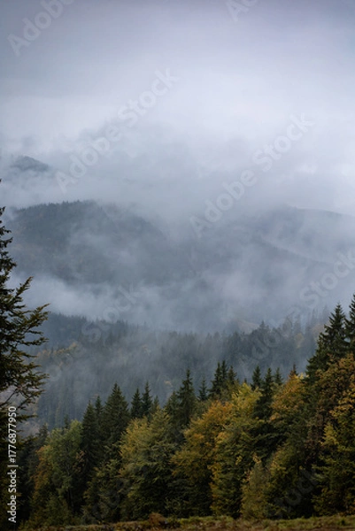 Obraz Autumn mountains with forest in fog and clouds