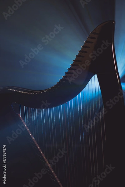 Fototapeta Electro harp in the rays of light