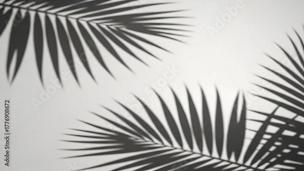 Obraz Shadowed Palm Leaves Silhouette on Light Background Artistic Nature Pattern