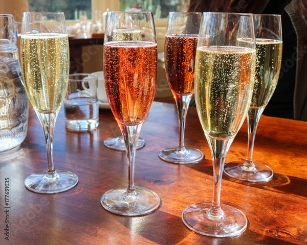 Fototapeta Beautiful Colorful Flight of Champagne in Glasses