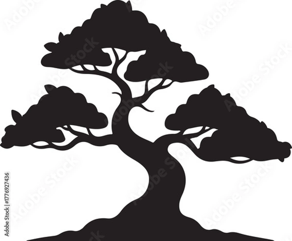 Fototapeta Silhouette of a stylized bonsai tree with spreading branches and dense foliage plant nature