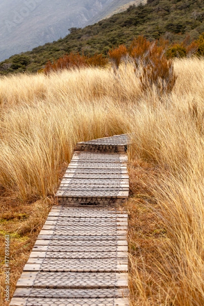 Fototapeta Serene wooden walkway meandering through tall grass in an autumn landscape of New Zealand. 