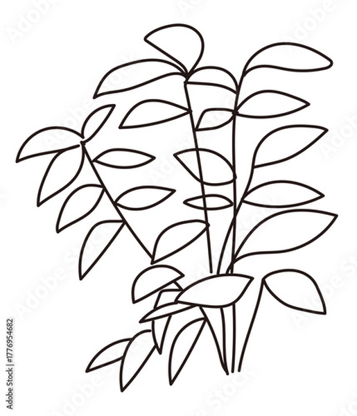 Fototapeta 外構・庭植栽のイラスト